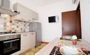 Sulla SinAgo flowers 3