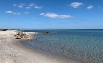"Helmina" - 125m from the sea in Funen 3
