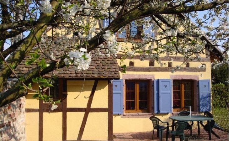 Gite "Sonneblüem un Pfefferminz" 1