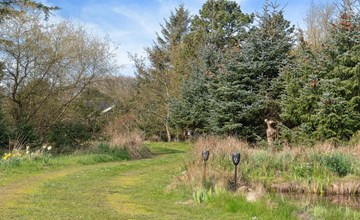 "Sune" - 500m from the sea in Western Jutland 3