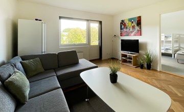 Lovely apartment in Grimsås with WiFi 3
