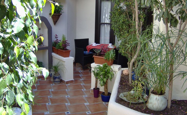 für 2 Personen ca. 45 m² in Icod de los Vinos, Teneriffa (Nordküste von Te 1