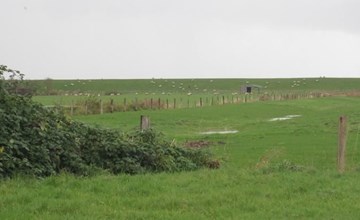 Großes Ferienhaus in Müggendorf mit Garten 3