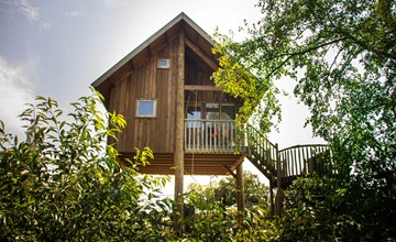 Boomhut I 5 personen 3
