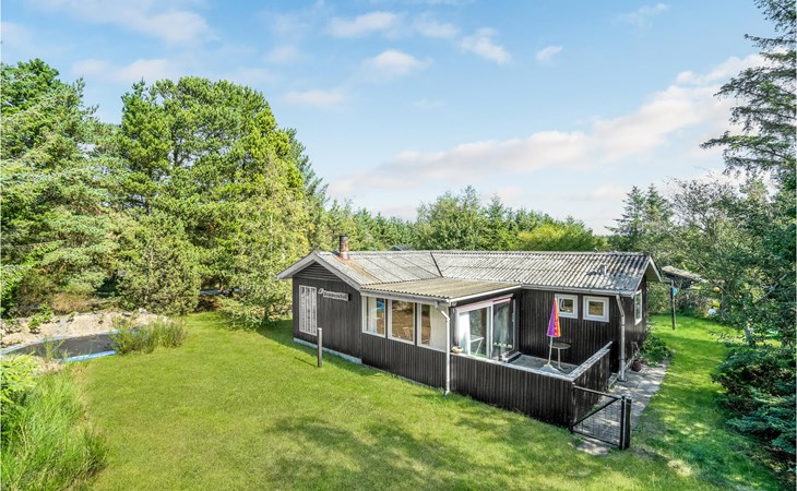 3 bedroom pet friendly home in Blokhus 1