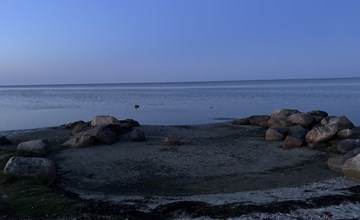 "Thorbiorn" -  from the sea 2