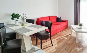Pet friendly apartment 3