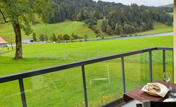 Erlenrain appartement 911 3