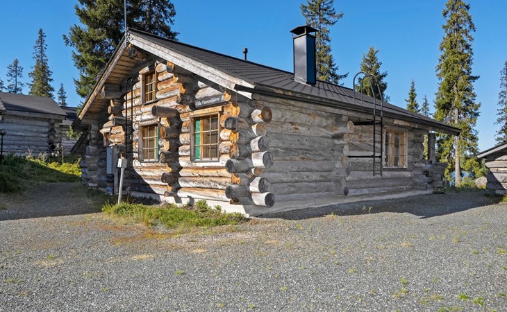 Villa vuosselinjärvi 1