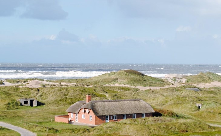 "Karlina" - 100m from the sea in Western Jutland 1