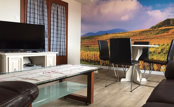 Große Ferienwohnung Gite mit Terrasse 1