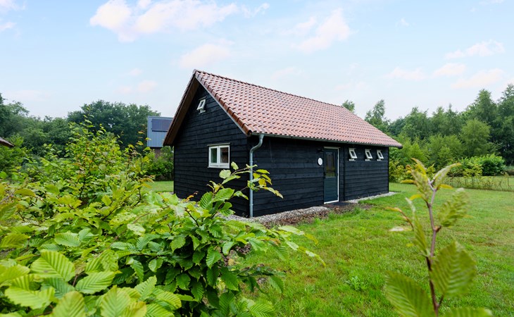 Boshuis Luna | 4 persons 1