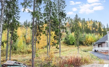 Große Verschwendung 3