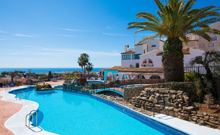 Die Olivenbäume von Capistrano 1