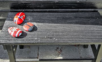 "Florense" - 2,5 km van de zee in West-Jutland 3