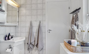 „Assa“ – vom Meer in Westjütland 2