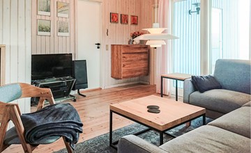 Pet friendly home in Hvide Sande 3