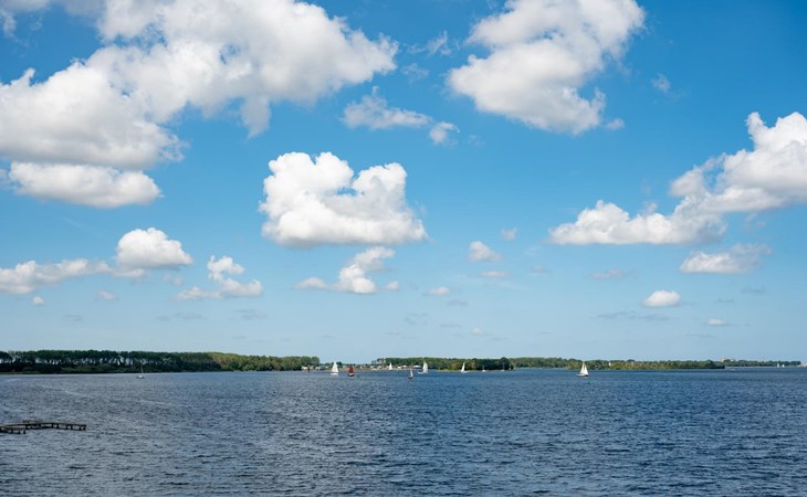 Lamsoor 77 | Veerse Wende 1