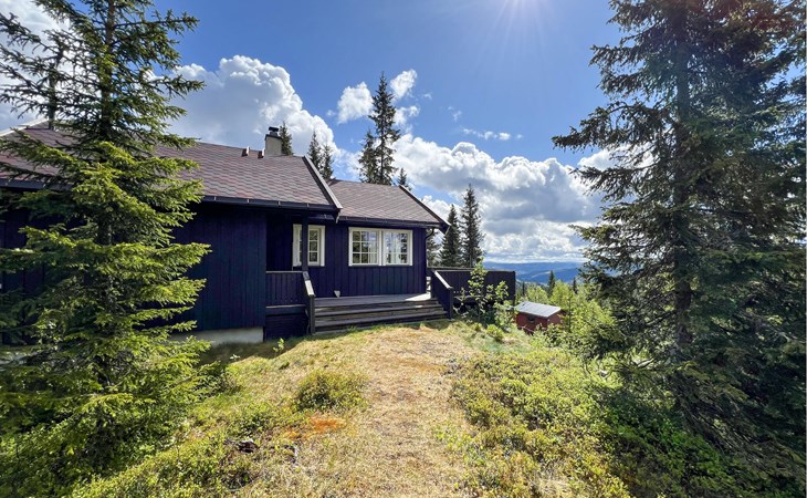 3 bedroom lovely home in Nord-Torpa 1