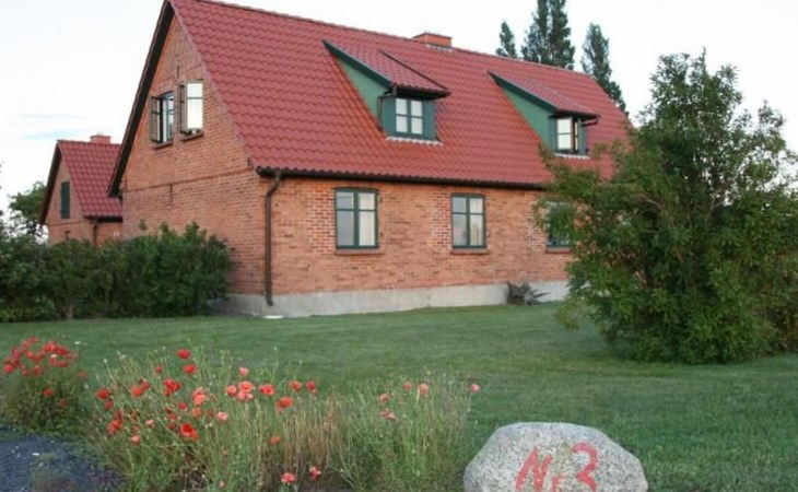 Gans in Ummanz-Lüßvitz 1