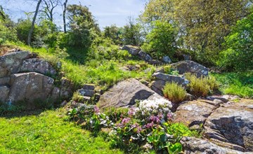 "Henric" - 75m from the sea 3