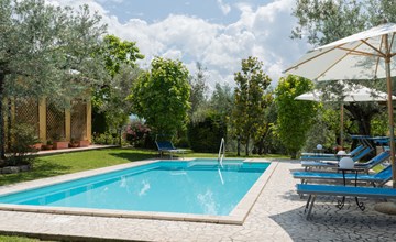 Olive Grove Sabina 3