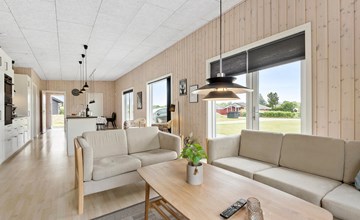 Pet friendly home in Hemmet with WiFi 3