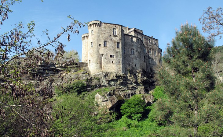 De Oleanders (LRG490) 1