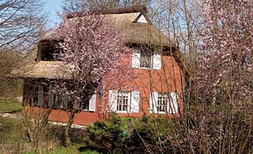 Idyllisches Reetdachhaus mit großem Garten 2