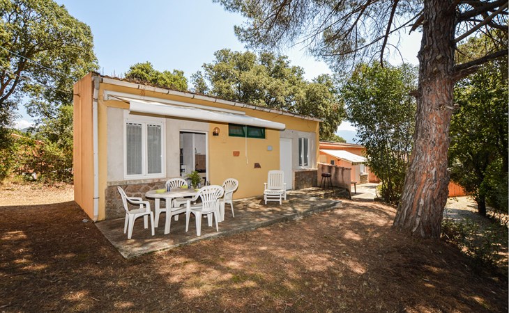1 bedroom amazing home in CALCATOGGIO 1