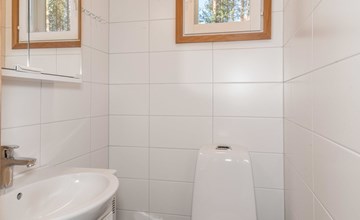 Levis goldenes Zuhause 2