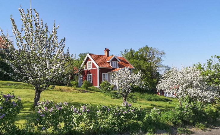 2 bedroom nice home in Mariannelund 1