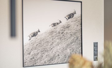 Superior mit 2 Schlafzimmern 2