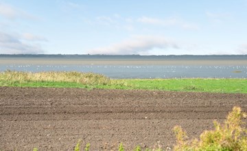 "Kielo" - 10km from the sea in Western Jutland 3