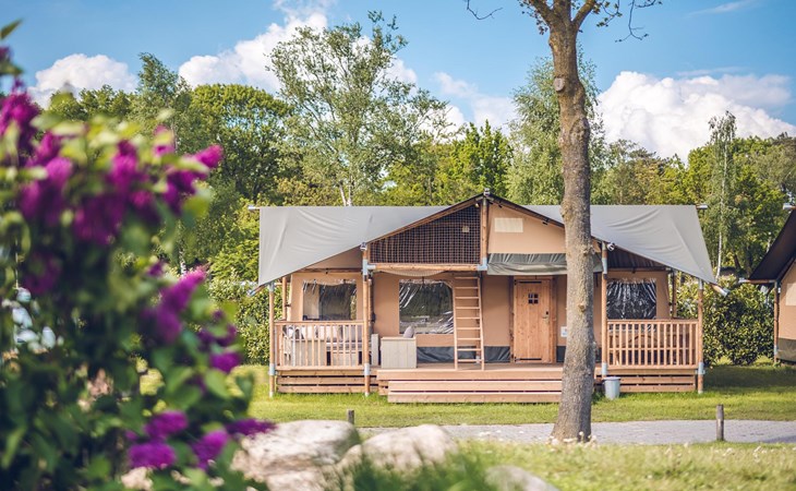 Safari tent 'Edelhert' | 2 - 8 pers 1