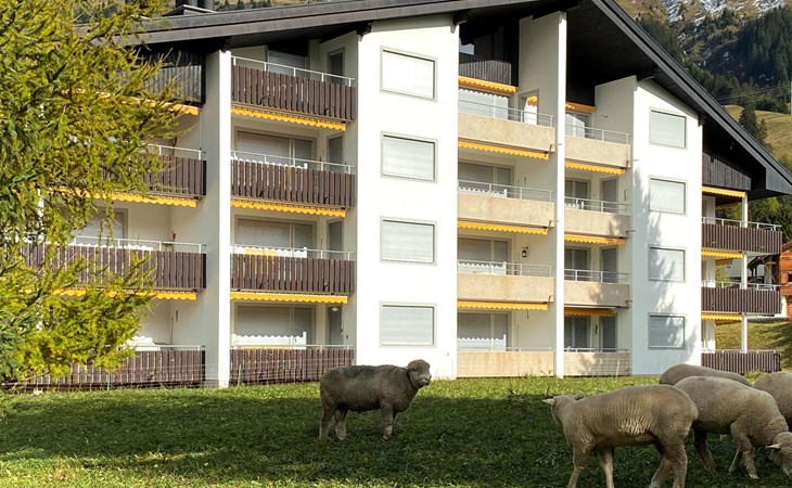 Triangel D Petersen 1