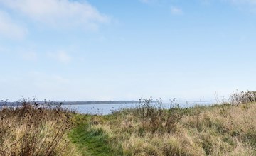 „Bosilka“ in Seeland 3