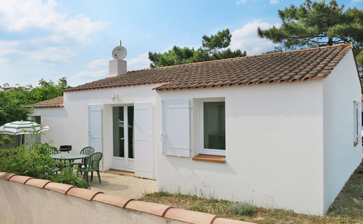 The Seahorses (TSM516) 1