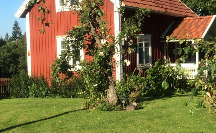 Kleines Ferienhaus auf dem Gelände eines Bauernhof 1