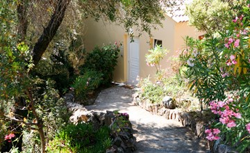 Asphodels (NLO102) 3