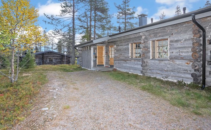 Bärennest 1