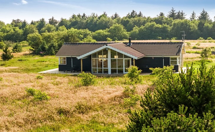 "Sulki" - 3.5km from the sea in NW Jutland 1