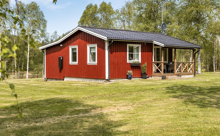 Birch tree (HAL024) 1