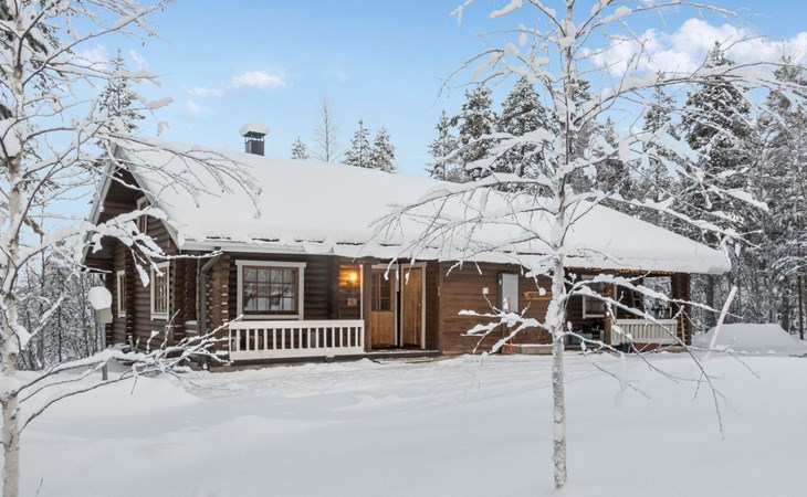Fäulnisnest 2 1