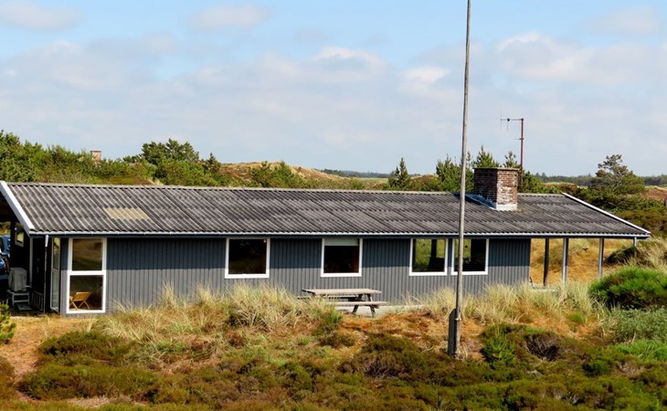 "Elsa" - 700m from the sea in Western Jutland 1