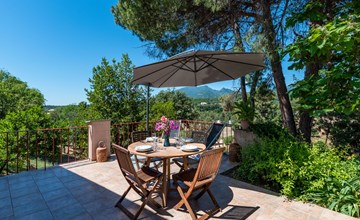 Rutili - Josée (CTN255) 2