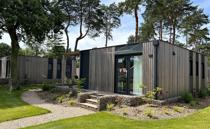 Domus 4 1