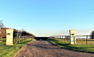 "Sasser" - 10m from the sea in Funen 3