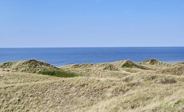 „Mafalda“ – 260 m vom Meer entfernt in Nordwestjütland 3