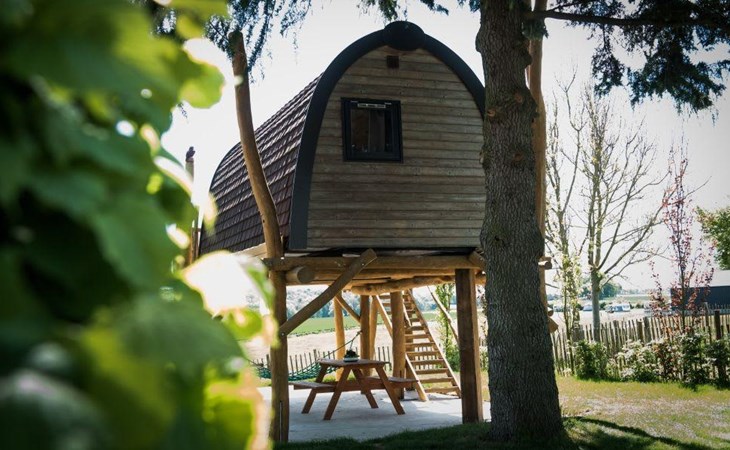Treelodge 2 1